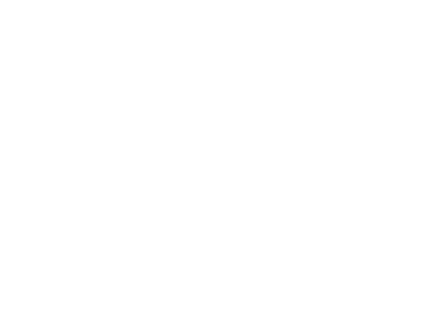 Passionails logo